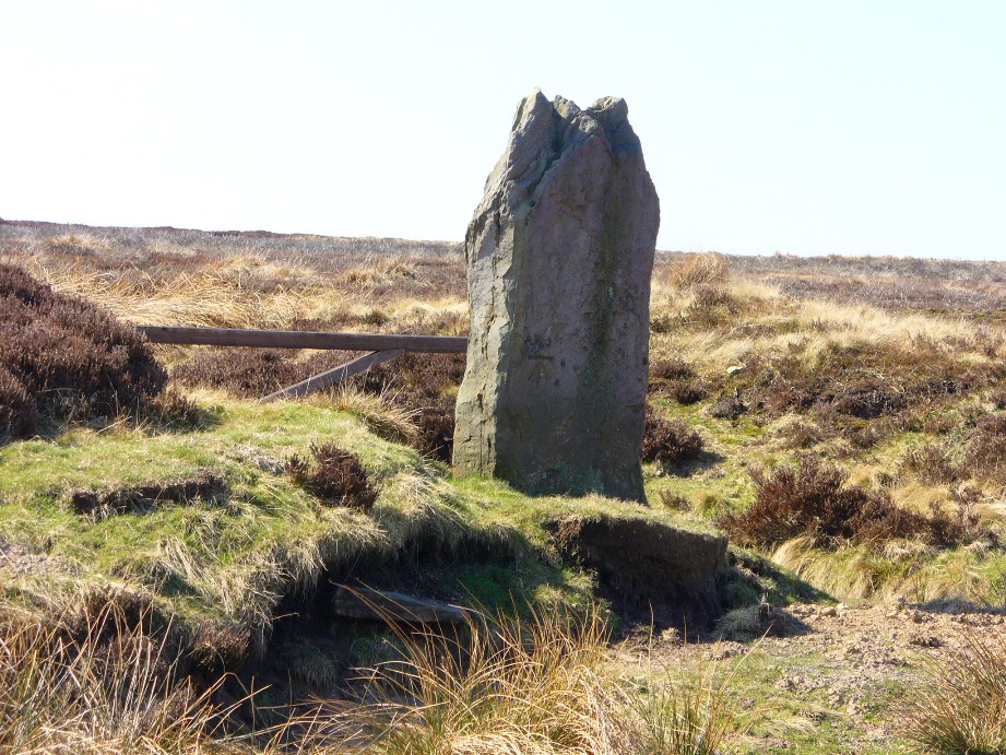 Margery Bradley