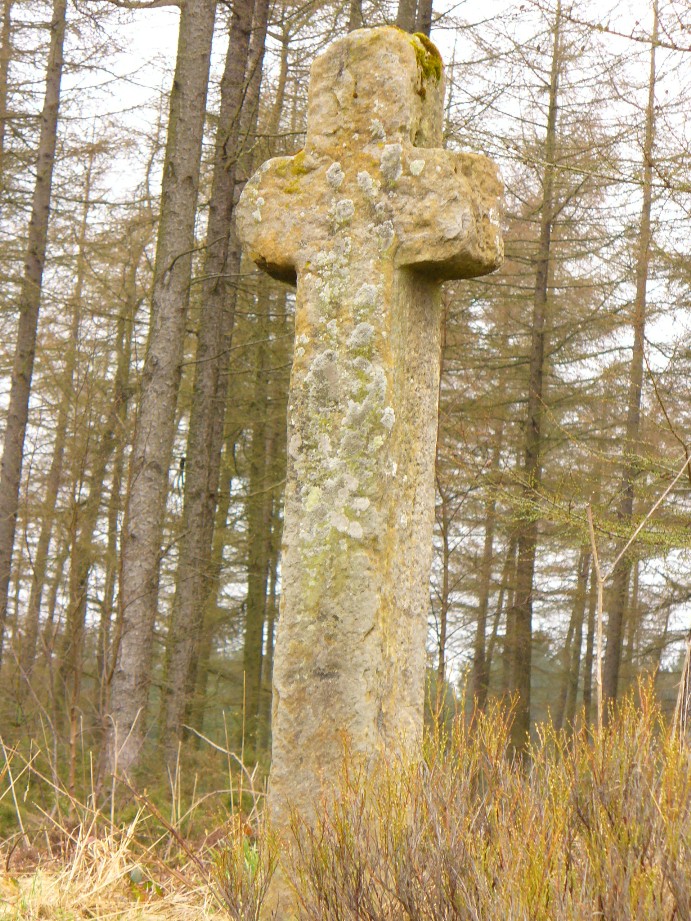Mauley Cross