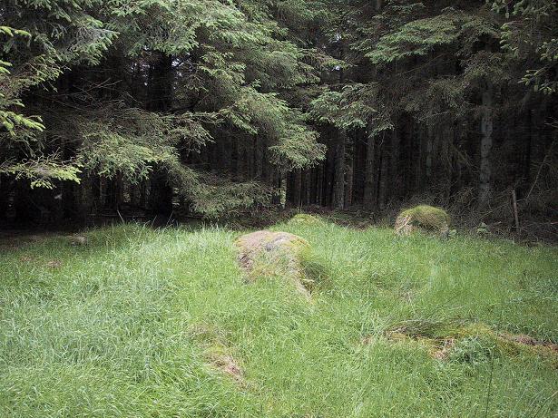 Nettlehole Ridge