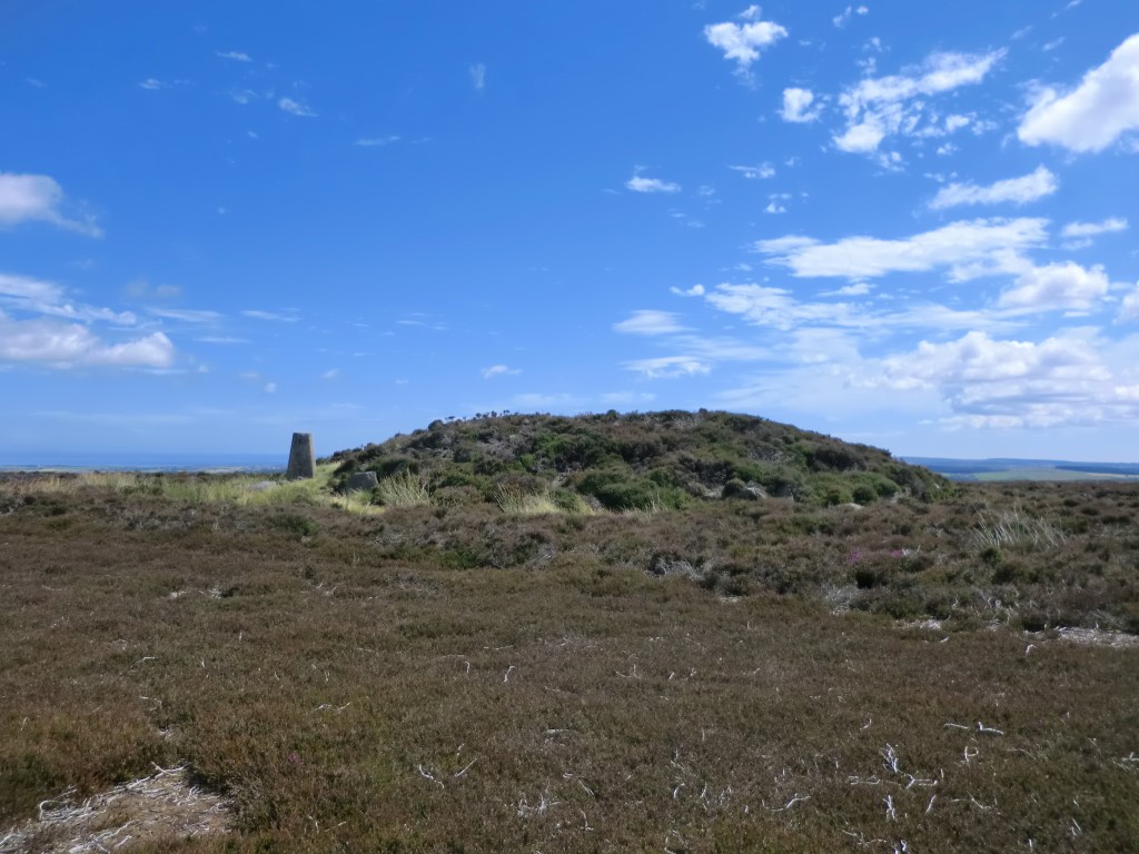 Flat Howe (Sleights Moor)