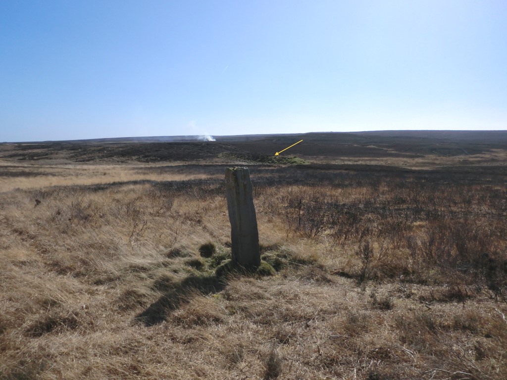 Marker Stone at NZ 72730 11793 – Viewed looking southerly, March 2022. The yellow arrow indicates an embankment and behind that though not clear in the image is a cutting, both part of Paddy Wadell’s railway as mentioned in the site description. When they attempted to build this railway they started from both ends of the line. The embankment and cutting in the image are as far as they got work