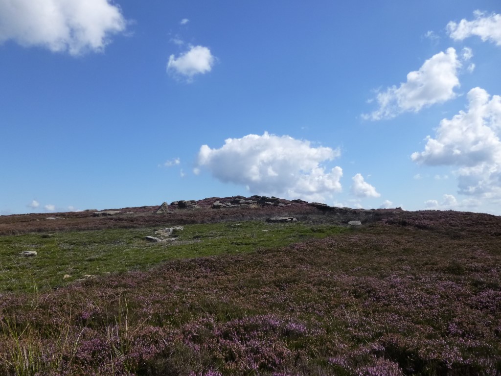 Stone Ruck (Bilsdale West Moor)