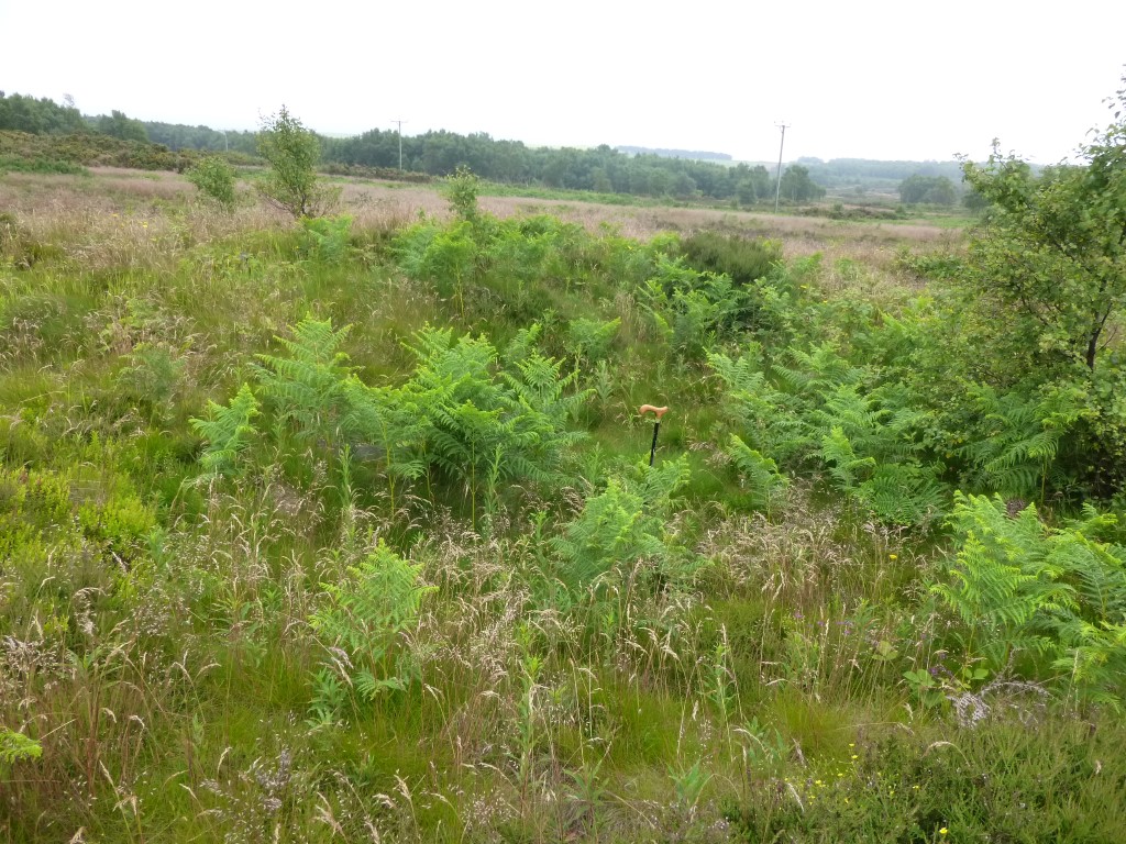 Eston Moor B2
