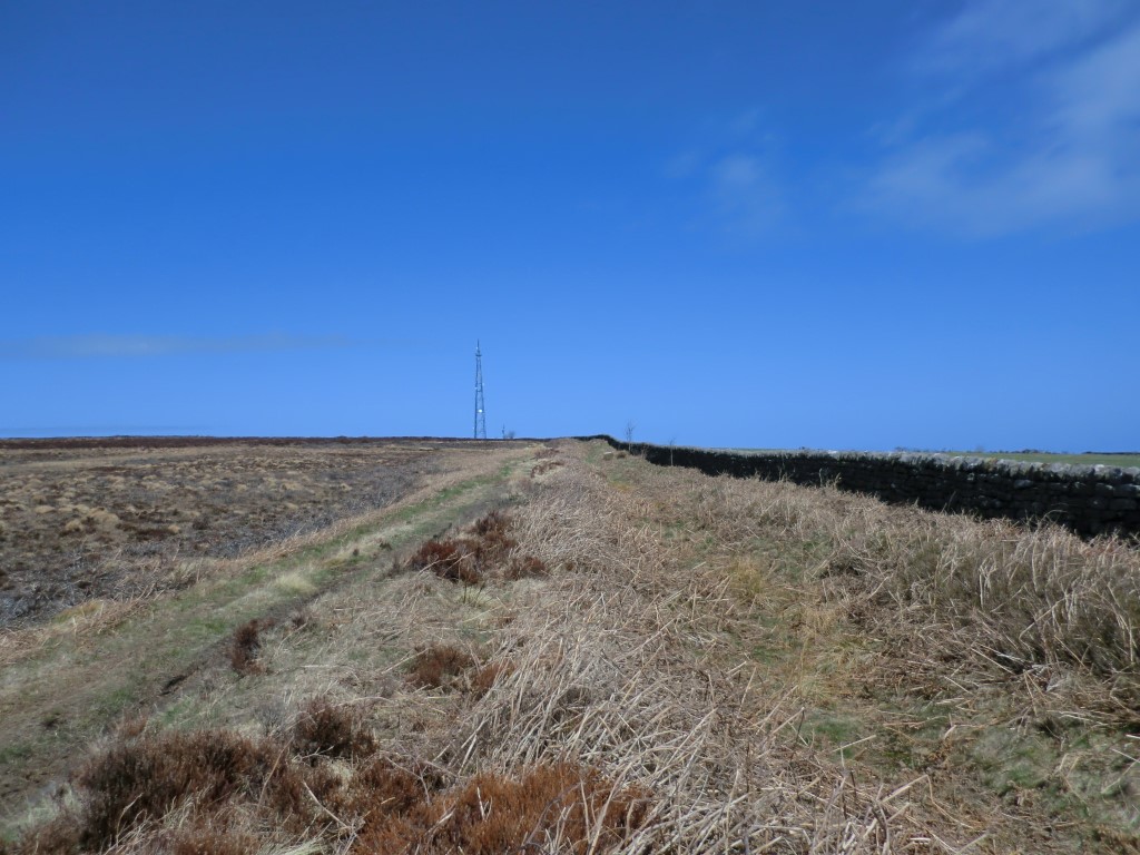 Green Dike and Three Lords’ Stones (Staintondale) Green Dike viewed looking northerly at NZ 97029 00815 (this is about midway along), April 2013. Though the wall is built on the eastern bank it can be still be clearly seen as can the ditch beneath it, though shallow at this point. The western bank is prominent with the track running to the left of it.