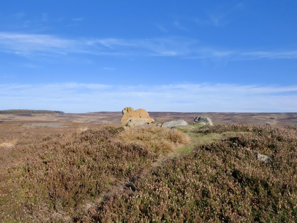 Codhill Heights