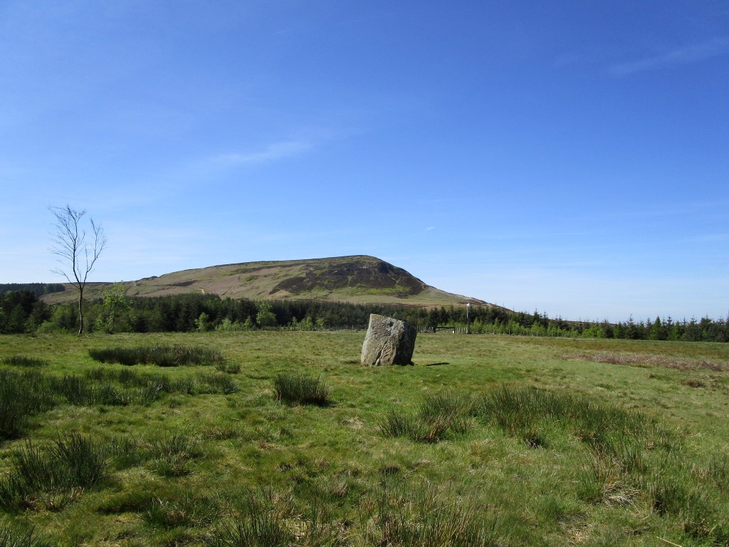 Hall Cliff Stone (Green Bank)