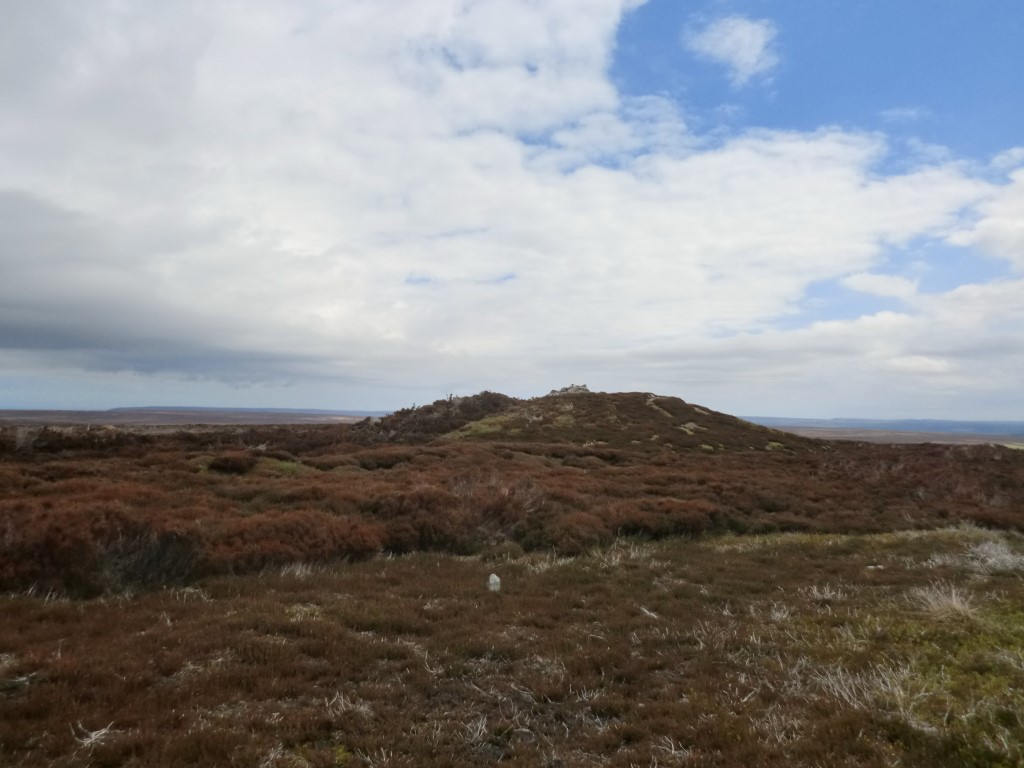 Shunner Howe, Yorkshire (North) | Megalithic Portal