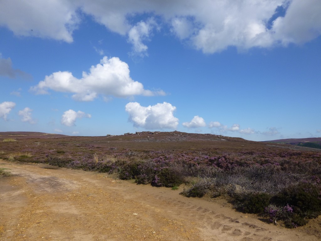 Stone Ruck (Bilsdale West Moor)