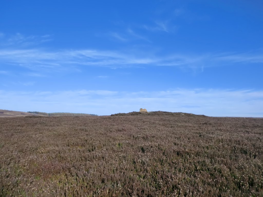 Codhill Heights