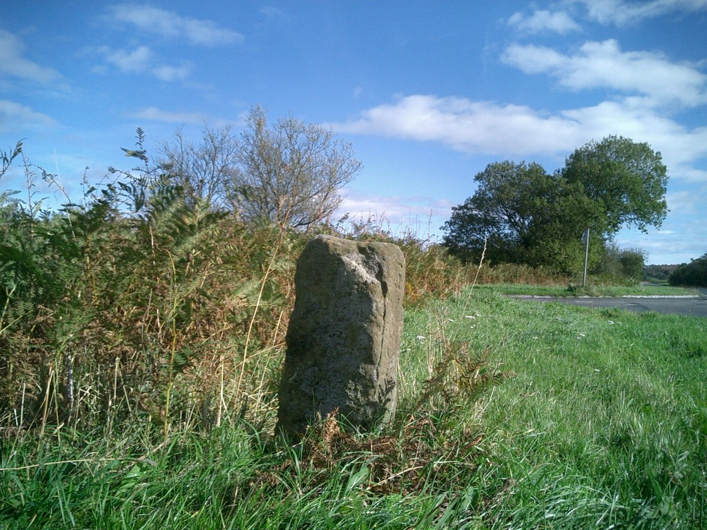 Lady Cross (Egton Low Moor)