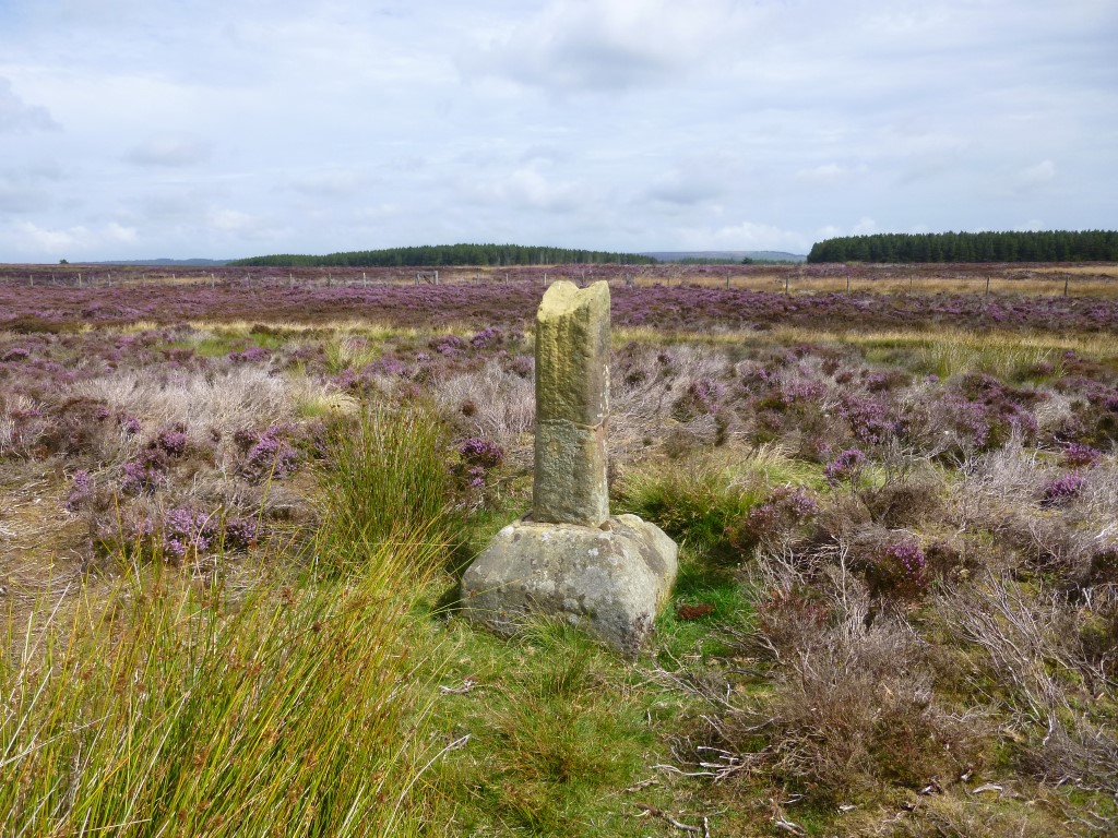 Ann's Cross