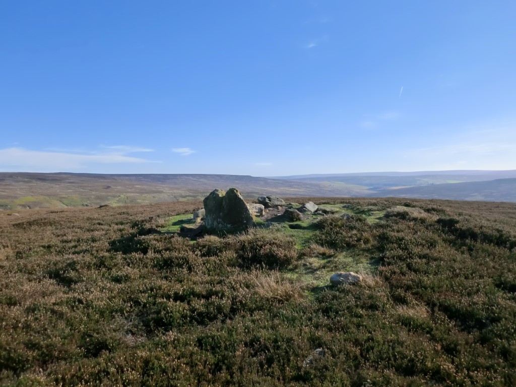 Codhill Heights