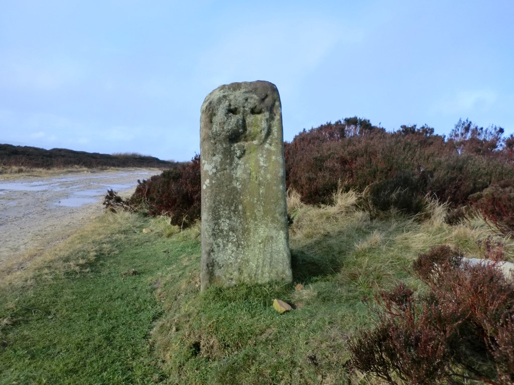 Face Stone (Urra Moor)