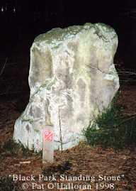 Click for the gallery page to add comments and vote (PID:981) Black Park Standing Stone
