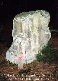 Black Park Standing Stone