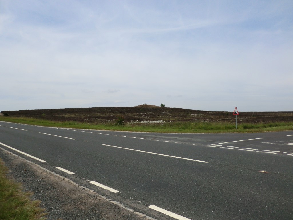 Pen Howe (Sleights Moor)