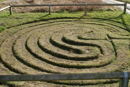 This is the only turf maze in North Yorkshire. It conforms to the pattern associated with Troy mazes. This example is quite small and well looked after. SE 62528 71886