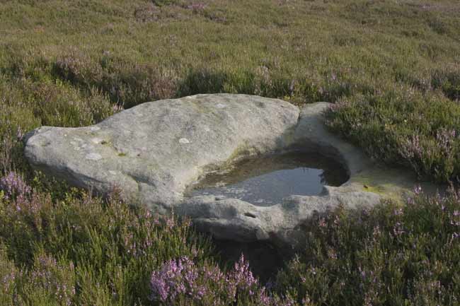 Click for the gallery page to add comments and vote (PID:8778) Loose Howe Rock Art (Danby High Moor)