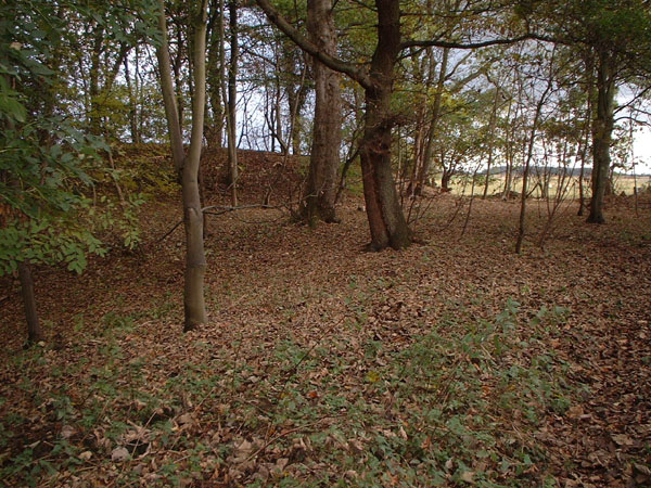 Thornborough N henge