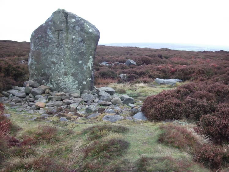 Click for the gallery page to add comments and vote (PID:81469) Danby Rigg