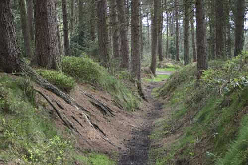Click for the gallery page to add comments and vote (PID:7798) Dargate Dykes
