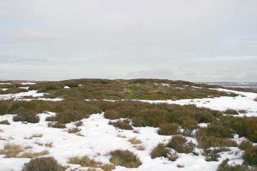 Click for the gallery page to add comments and vote (PID:5684) Flat Howe (Farndale Moor)