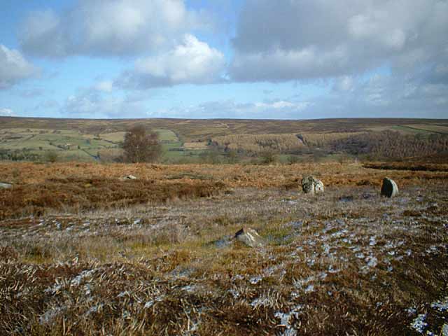 Click for the gallery page to add comments and vote (PID:5547) Harland Moor