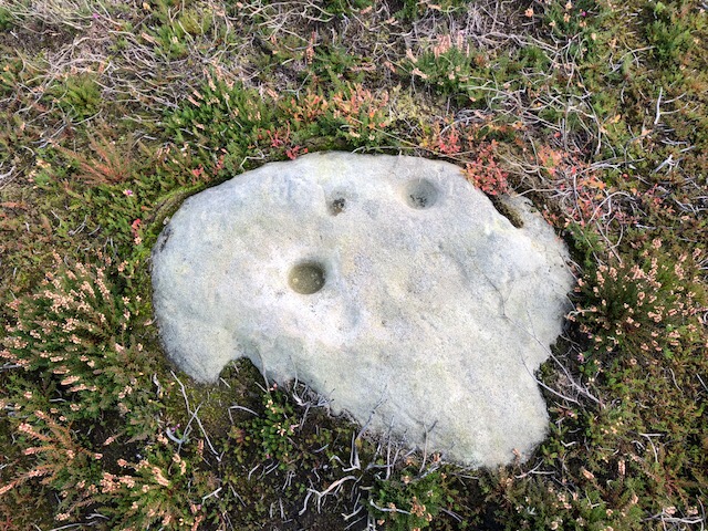 Fylingdales Moor, Brow Moor, East Butts, (Area E)
