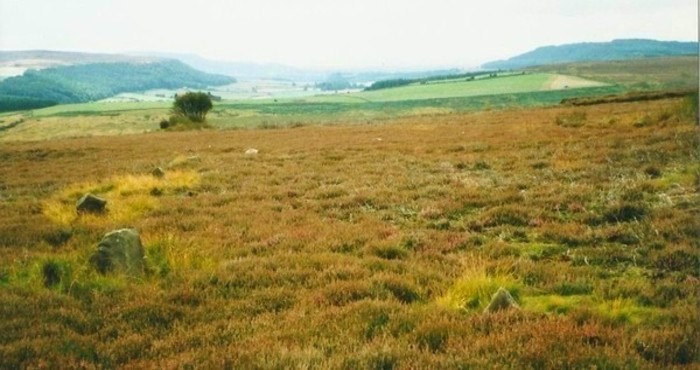 Click for the gallery page to add comments and vote (PID:116546) Commondale Moor Stone Circle