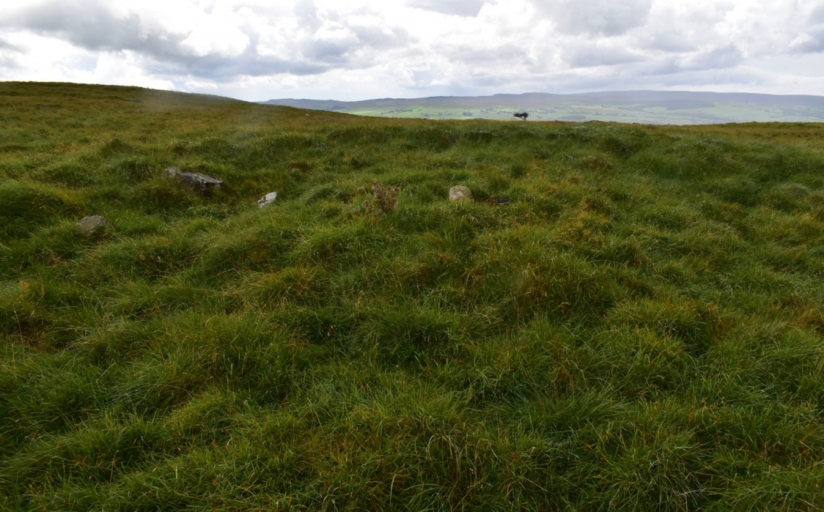 Feizor Thwaite (Lawkland)