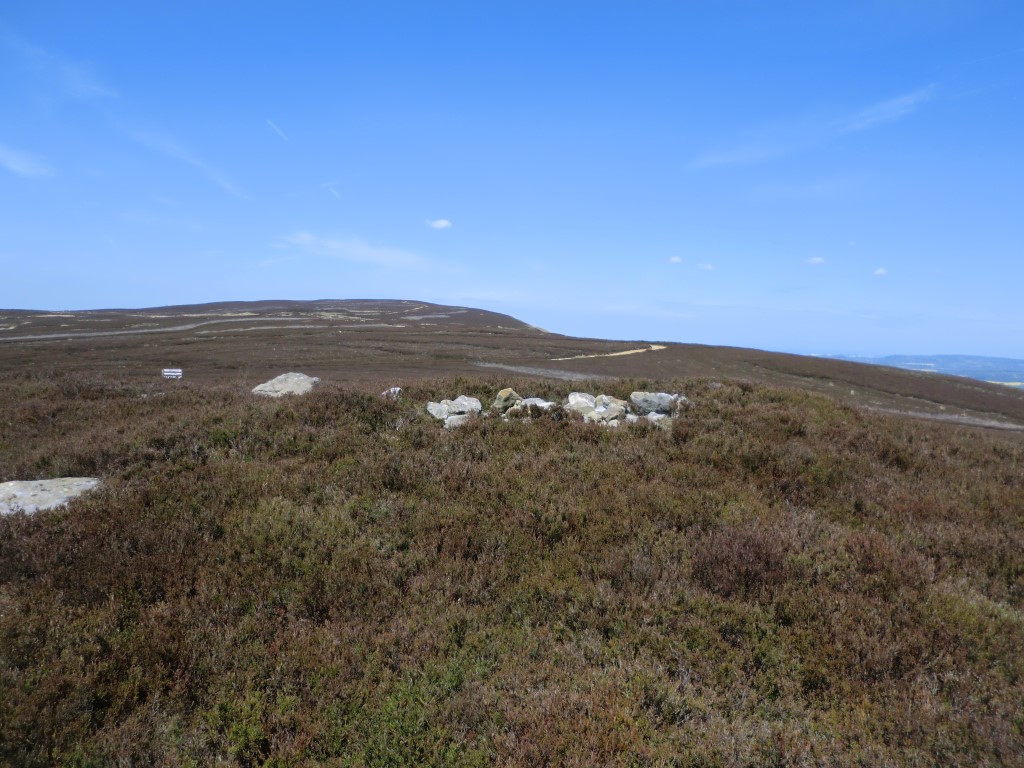 Stone Ruck (Bilsdale West Moor)