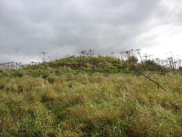 Round Hill (Ingleby Barwick)