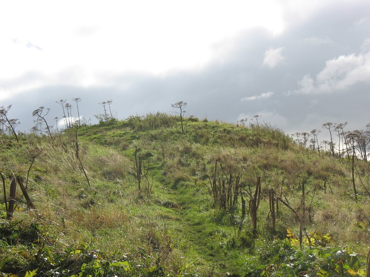 Round Hill (Ingleby Barwick)