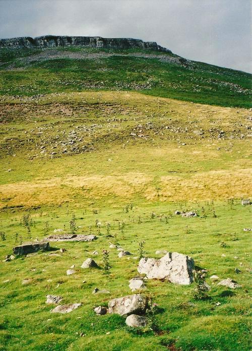 Click for the gallery page to add comments and vote (PID:103207) Carperby Stone Circle