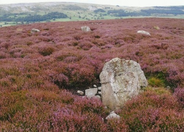 Harkerside moor circle.