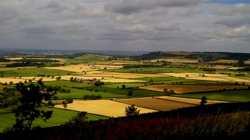 Great Ayton Moor Chambered Cairn