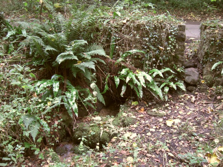 St Michael's Well (Well)