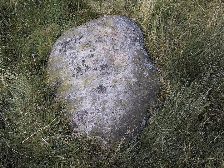 Middleton Moor (8), Yorkshire (North) | Megalithic Portal