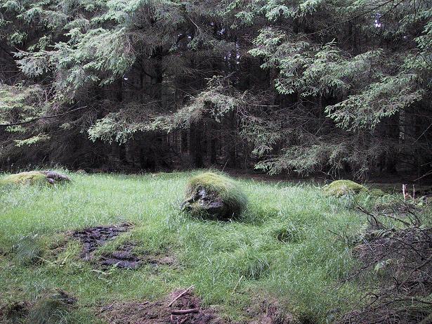 Nettlehole Ridge