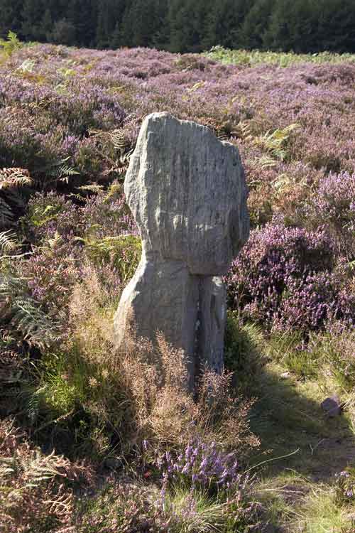 Click for the gallery page to add comments and vote (PID:8937) Old Wife's Neck