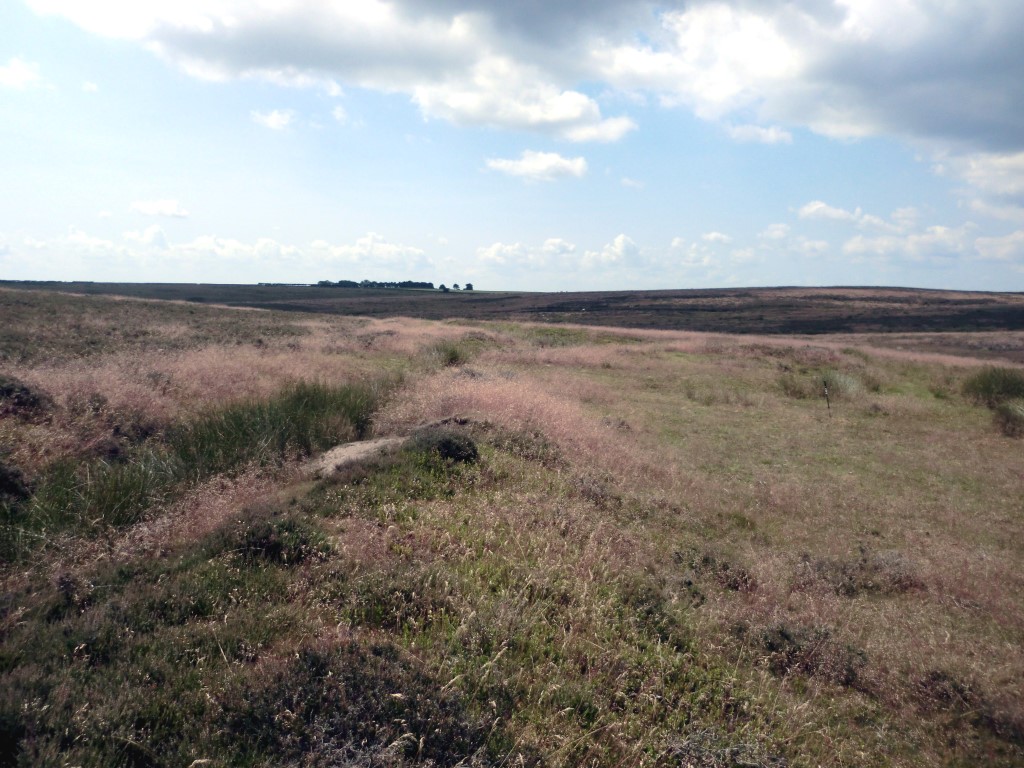 Enclosure ‘A’ at SE 83137 92392 –Southern end of enclosure, look westerly, July 2021. The ditch running along the outside of the enclosure is now a drain and shown on the modern OS map as a water course (blue line). However it was formed from the original dike / entrenchment which enclosed the settlement and is indicated as such on historical OS maps.