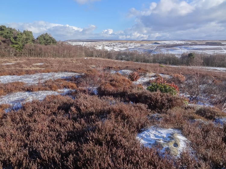 Thimbleby Moor 1