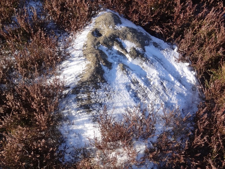Thimbleby Moor 1