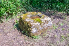 Cooper Cross (Sutton Bank) - PID:276353
