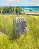 Bog House Standing Stone - PID:276297