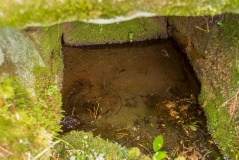 Old Wives' Well