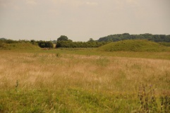 Thornborough Central