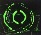 Henge cropmark at Newton Kyme - PID:236371