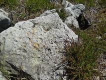 Bransdale Ridge (Cowl House)