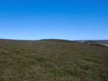 Middle Rigg round barrows and pit alignment